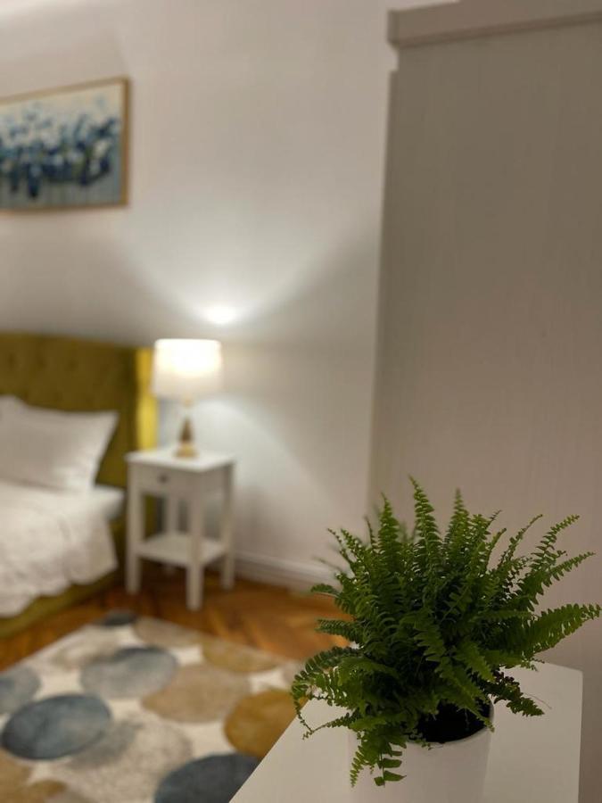 Cityviews Apartment Cluj Bagian luar foto