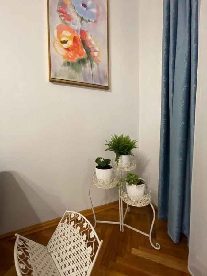 Cityviews Apartment Cluj Bagian luar foto